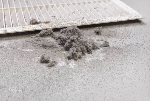 Best HVAC System Cleaning  in Sylva, NC