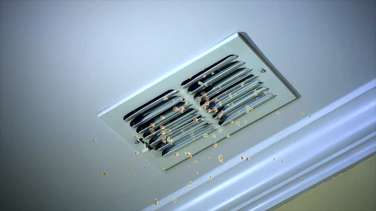 Best Best Air Duct Cleaning Near Me  in Sylva, NC