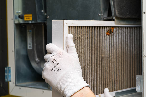 Best Professional Duct Cleaning Services  in Sylva, NC