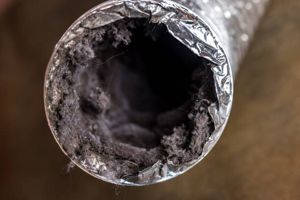 Best Ductwork Cleaning Services  in Sylva, NC