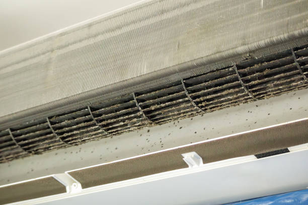 Air Duct Mold Removal in Sylva, NC